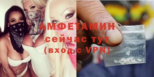 сатива Балахна