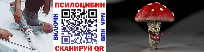 купить наркотики сайты  Собинка  Галлюциногенные грибы мицелий 